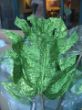 DSCF4470.JPG