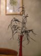 DSCF4552.JPG